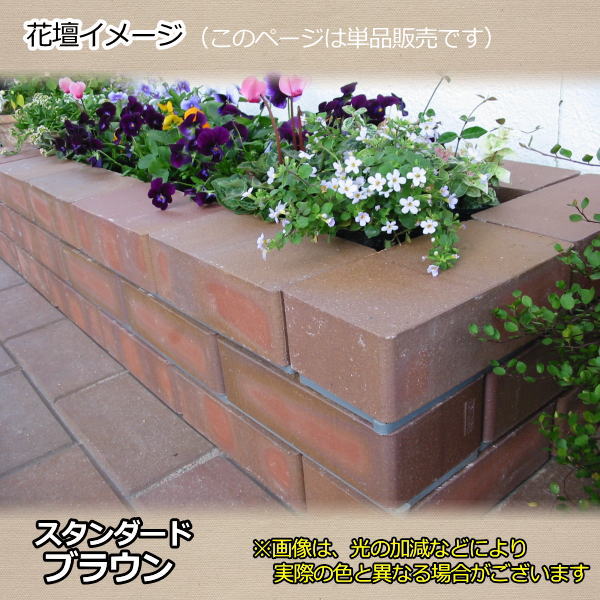 �餯�餯��󤬥���������ɥ֥饦�󡡡ȳ����ѥ��Ⱦ�ޥ���