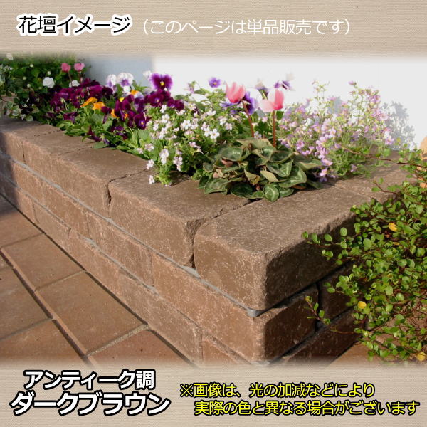 �餯�餯��󤬥���ƥ�����Ĵ�������֥饦�󡡡ȷꤢ�����Ⱦ�ޥ���