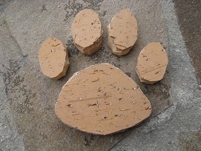 ���ꡡ­���ȴ����ʡ���������21cm��20cm��3cm�����顼���֥饦��/��å�/�١�����