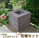 ����ƥ�����Ĵ�������֥饦��/�餯�餯���/�Х�Υ쥤���ɥ٥åɲ��ť��åȡܷꤢ��Ⱦ�ޥ�6���դ�