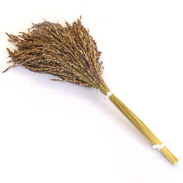 ����۸����� ���� 100��«