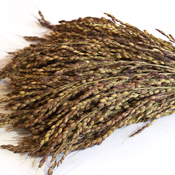 ����۸����� ���� 100��«