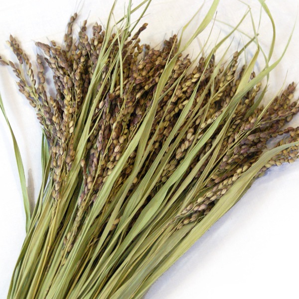 �ڰ���۸����� ���� 50��«