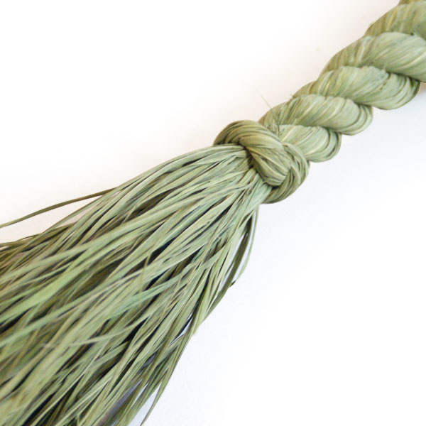 �ڡ���ۤ�顺 1.5��