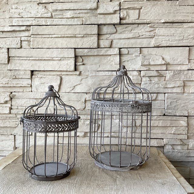 【#丁寧に対応します】南天（白）　マホニア 0.3 2本　斑入りヤブラン3 楽天市場】シンボルツリーの株元に！（半日陰～明るい日陰）和風