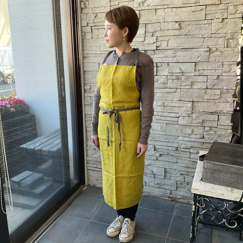 ミモザ