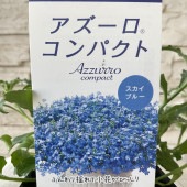 アズーロコンパクト　スカイブルー　3.5寸ポット