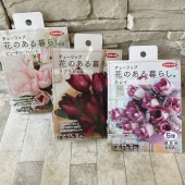 【球根】チューリップ　花のある暮らしシリーズ　5球入り