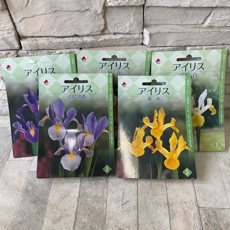球根】アイリス 5球入り | 球根 | 橋本種苗園オンラインストア