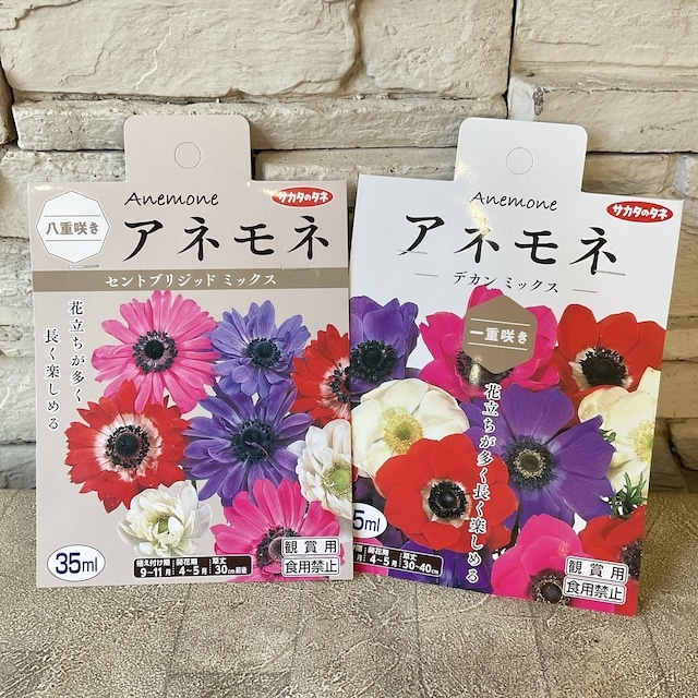 球根】アネモネ 選べる2種 | 球根 | 橋本種苗園オンラインストア