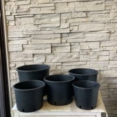 T選べる8サイズ！ナーセリーポット　ロータイプ