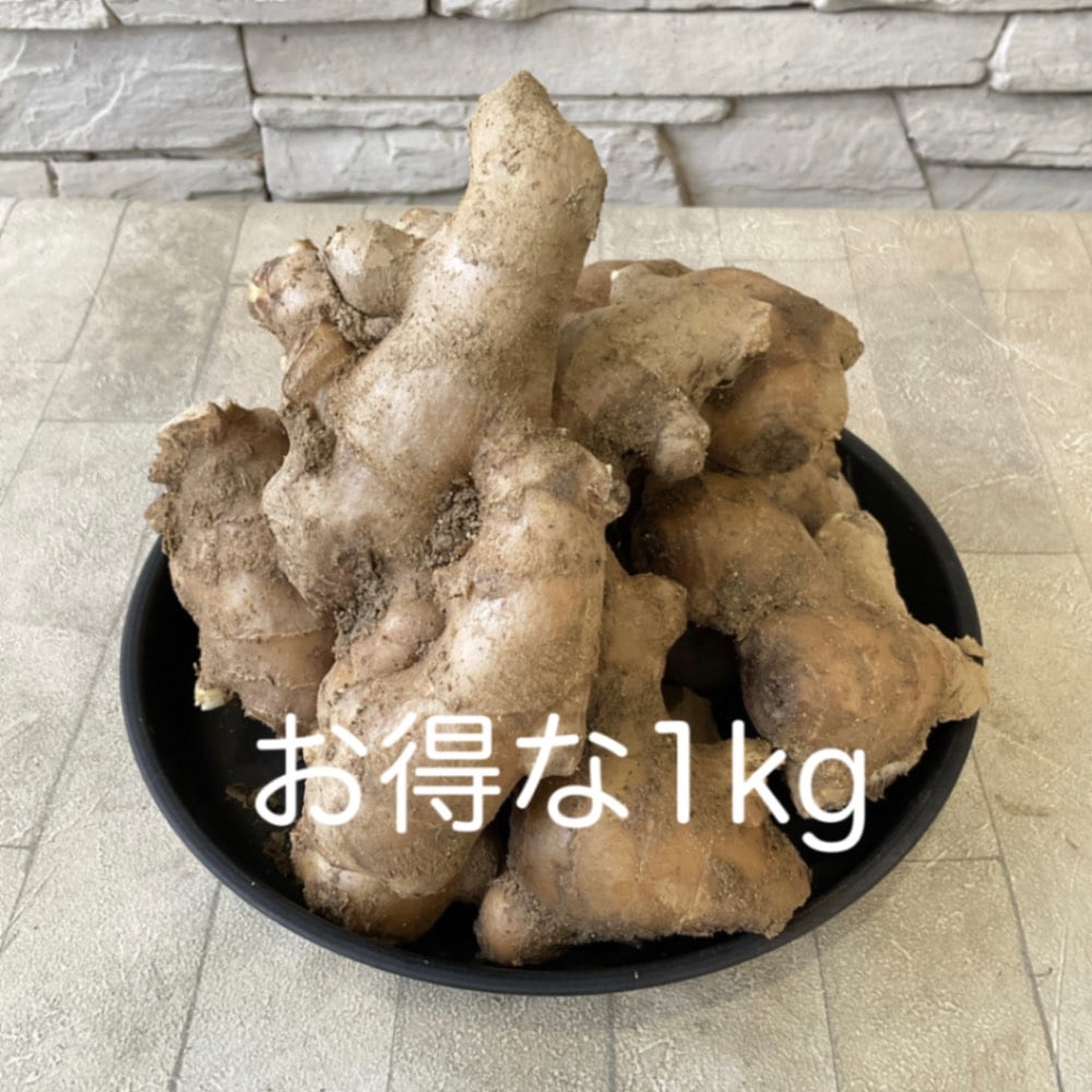【種子用】生姜　お得な1kg