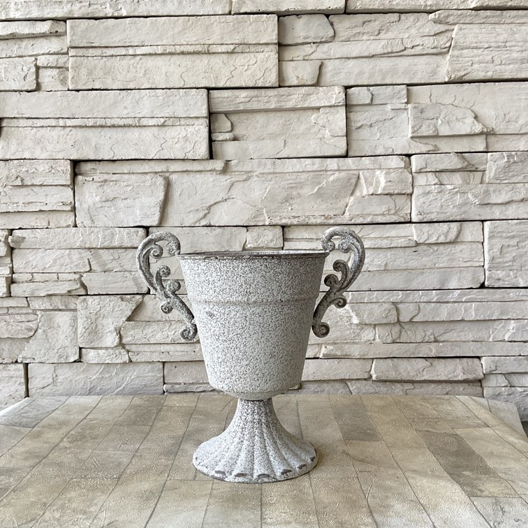 ※　鉢曇摩華購入ヨ−ロッパミヤマ♂野外標本 鉢曇摩華様専用購入ヨ−ロッパミヤマ♂野外標本 【公式通販】