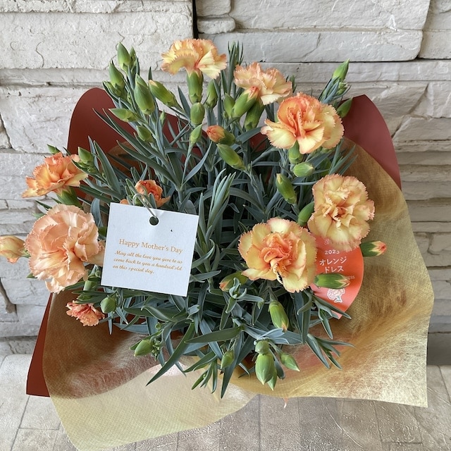 S*r様 カーネーション CARNATION EARLY YEARS BOX レ Early Years Box : カーネーション | HMV&BOOKS online - PCD