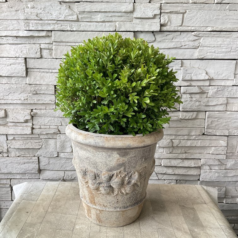 送料無料】【受注作製】ツゲ ウィンタージェム アンティーク調