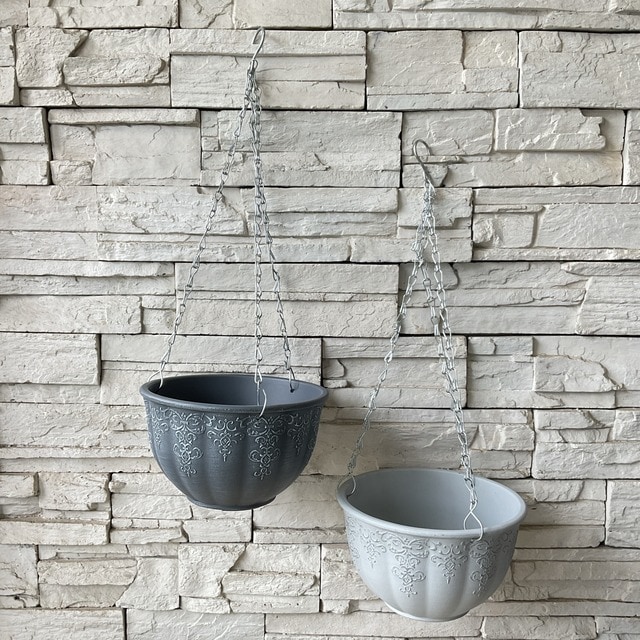 すべての商品 | 橋本種苗園オンラインストア