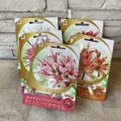 【見切品　植え付け時期を過ぎている】【球根】ダイヤモンドリリー　タキイのタネ　選べる♪5色