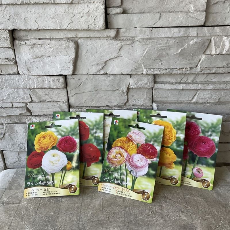 とし　球根 球根】ラナンキュラス 選べる♪6種類 | 橋本種苗園