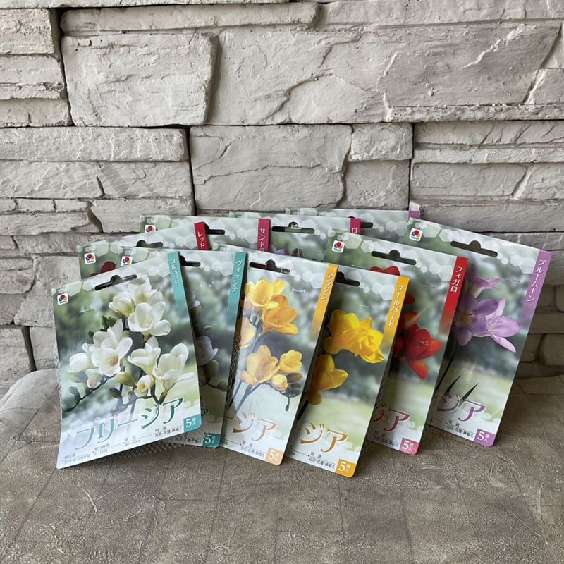 球根 | 橋本種苗園オンラインストア