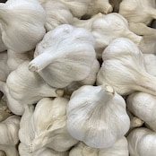 【種子用】国産ニンニク