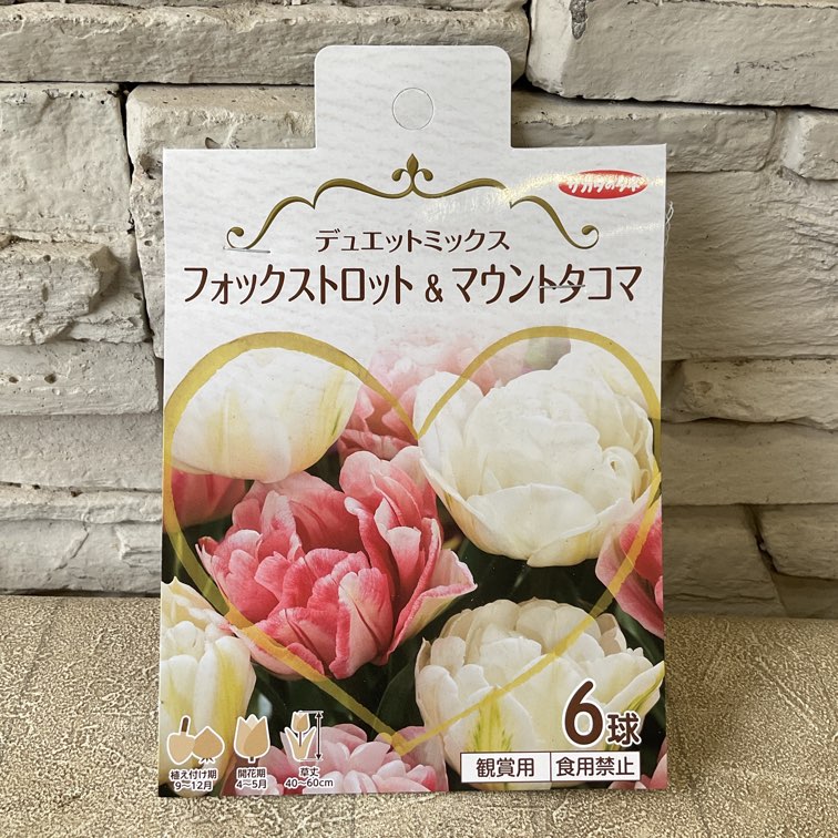 【球根】チューリップ デュエットミックス  フォックストロット＆マウントタコマ