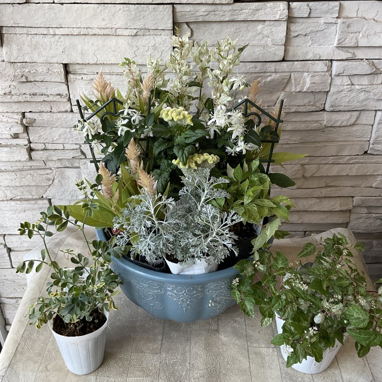 自分で作る寄せ植え苗セット】優しいグリーンとオレンジの寄せ植え