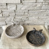 Cバードバス　レース　