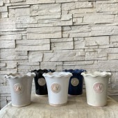 V Kew Garden チェスターキューポット