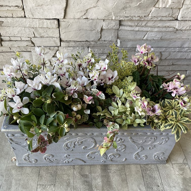 寄せ植え | 橋本種苗園オンラインストア