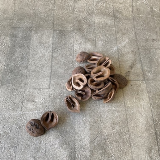 Y【量り売り】クルミde飾ろう　量り売り