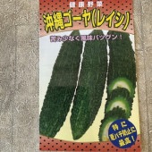 【野菜苗】実生苗　沖縄ゴーヤ　1ポット
