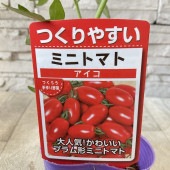 【野菜苗】実生苗　ミニトマト　アイコ　１ポット