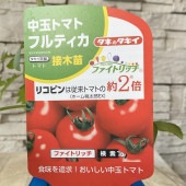 【野菜苗】接木苗　中玉トマト　フルティカ
