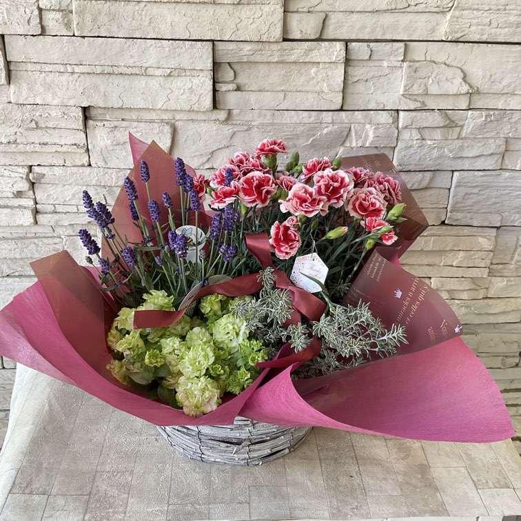 母の日におすすめ♪】カーネーションと湘南ベルデの寄せ鉢 | GIFT