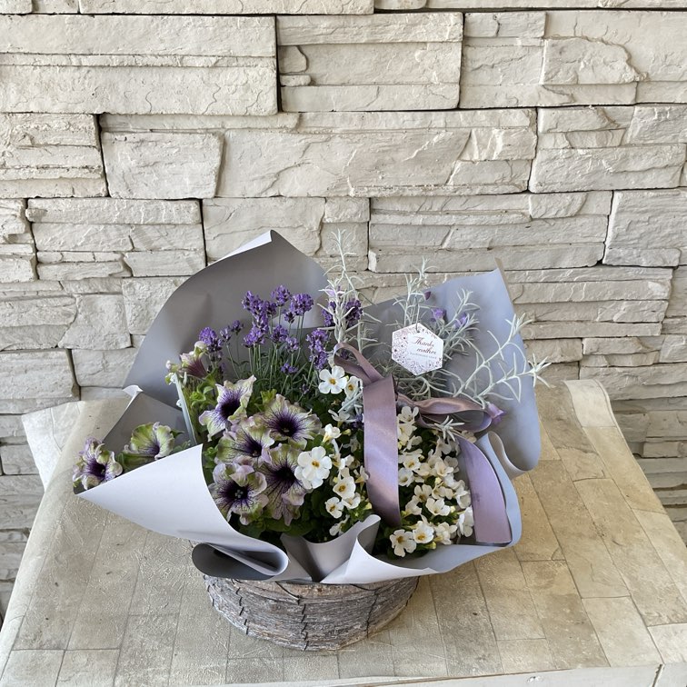 母の日におすすめ♪】ラベンダーとエレモフィラの寄せ鉢 | GIFT | 橋本