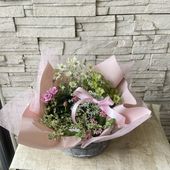 【母の日ギフト】フランネルフラワーとペチュニア純粋の大人かわいい寄せ鉢