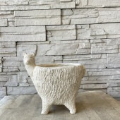 Cデボーアルパカポット