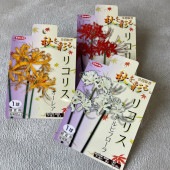 【見切品　植え付け時期を過ぎている】【球根】リコリス　選べる♪5色