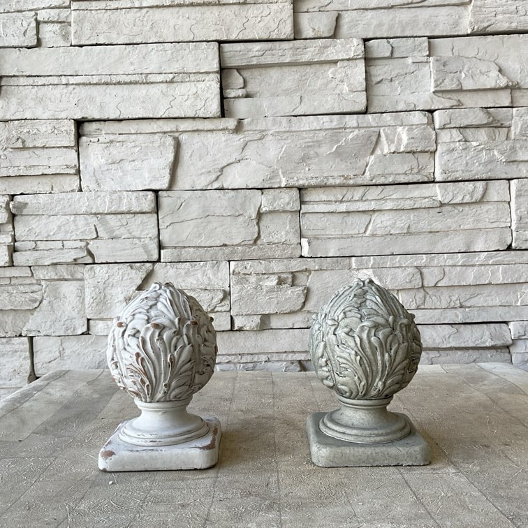 nalu様 8苗 大量苗セット ラナンキュラス ラックス 選べる3種 ラナンキュラス ラックス