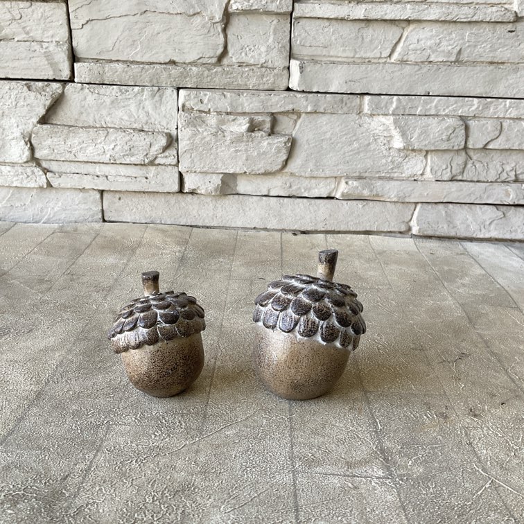 ふじ様専用 キンリョウヘン原種4鉢セット すべての商品 | 橋本種苗園