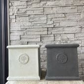 A【SALE】ブロッサムオーチャード