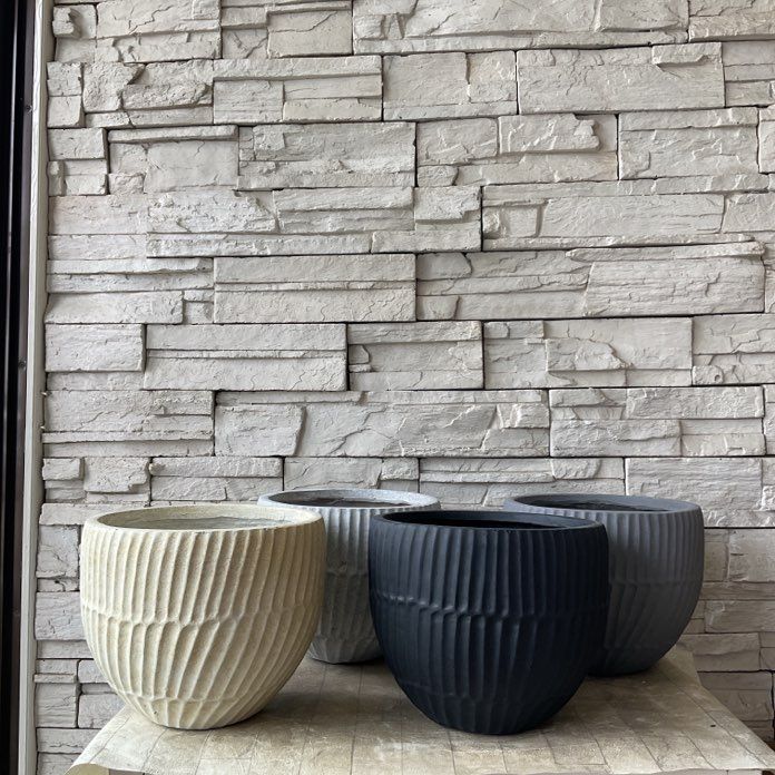 A【SALE】ラフィルモンボウル