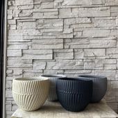 A【SALE】ラフィルモンボウル