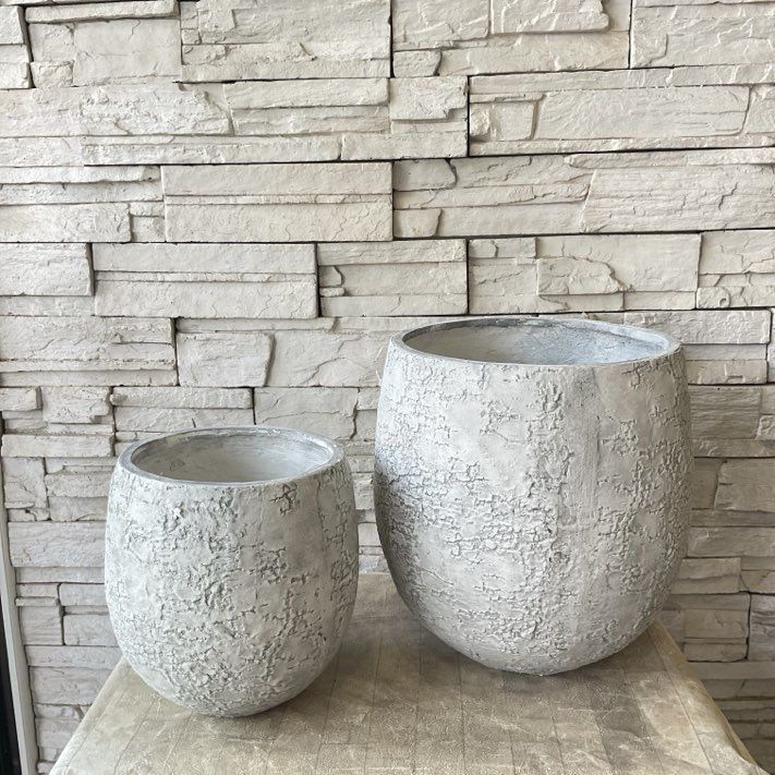 A【SALE】バーチサークル　S