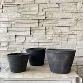 Qモスポット　グレー