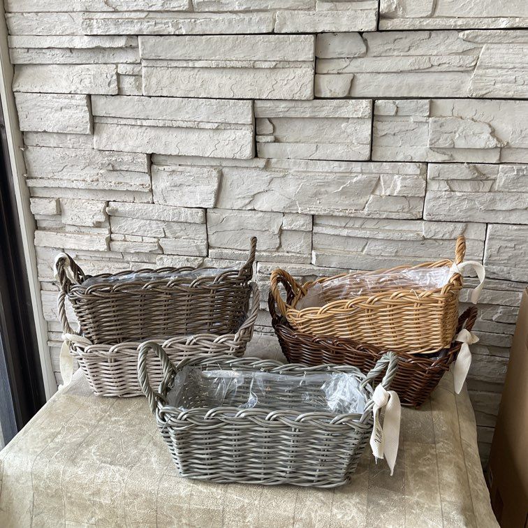 正規品　4号鉢　接木苗　2苗おまとめ 植物家族
