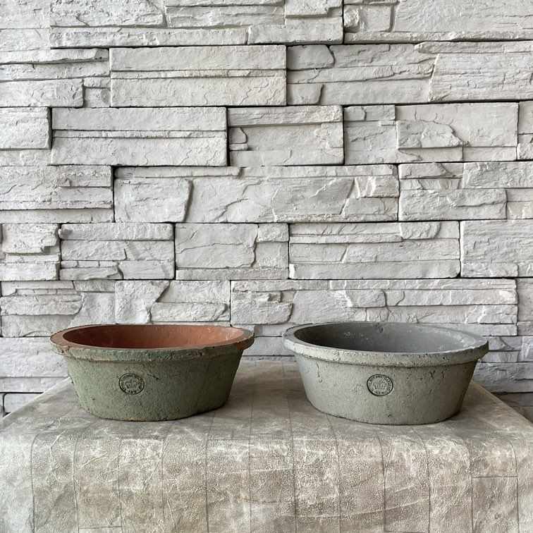 1968　４株セット販売鉢つき 1968 4株セット販売鉢つき 1968 4株セット販売鉢つき 陶器植木鉢