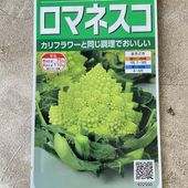 【野菜苗】カリフラワー　ロマネスコ苗　