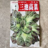 【野菜苗】三池高菜