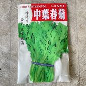 【野菜苗】中葉春菊
